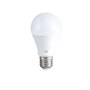Led Ampül